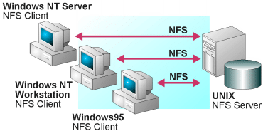 Windows NFS Clients