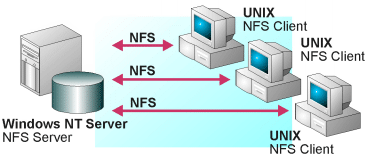 Windows NT NFS Server